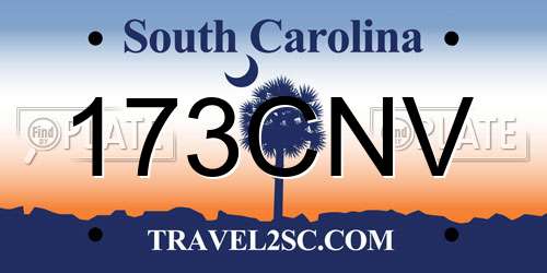 173CNV South Carolina License Plate