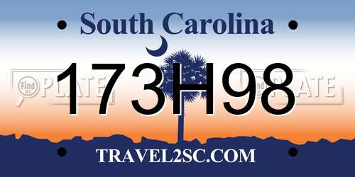 173H98 South Carolina License Plate