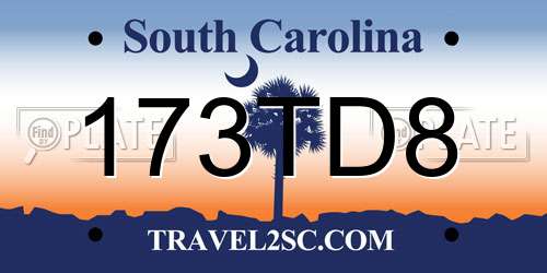 173TD8 South Carolina License Plate