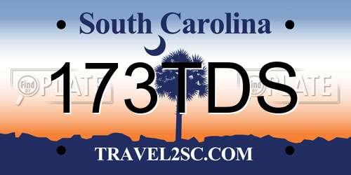 173TDS South Carolina License Plate