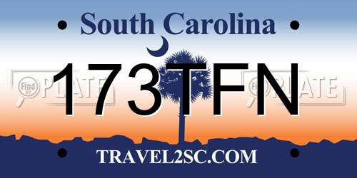 173TFN South Carolina License Plate