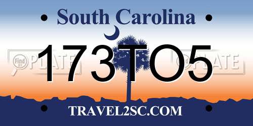 173TO5 South Carolina License Plate