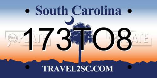 173TO8 South Carolina License Plate