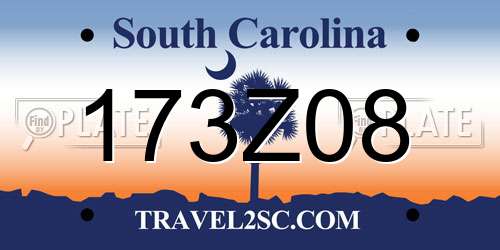 173Z08 South Carolina License Plate