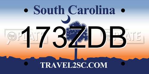 173ZDB South Carolina License Plate