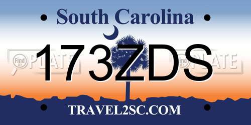 173ZDS South Carolina License Plate