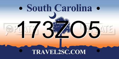 173ZO5 South Carolina License Plate
