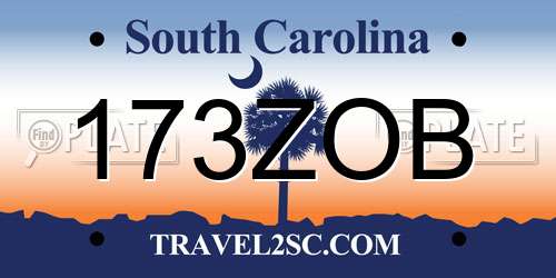 173ZOB South Carolina License Plate