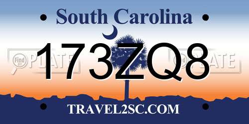 173ZQ8 South Carolina License Plate