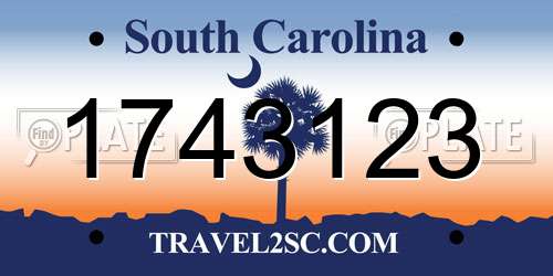 1743123 South Carolina License Plate