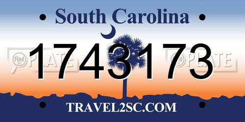 1743173 South Carolina License Plate
