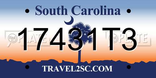 17431T3 South Carolina License Plate