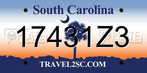 17431Z3 South Carolina License Plate