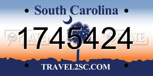 1745424 South Carolina License Plate