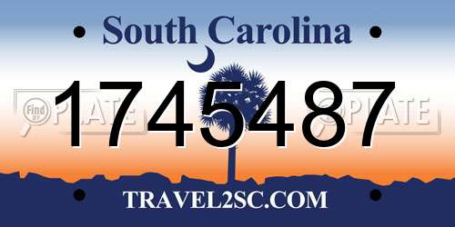 1745487 South Carolina License Plate