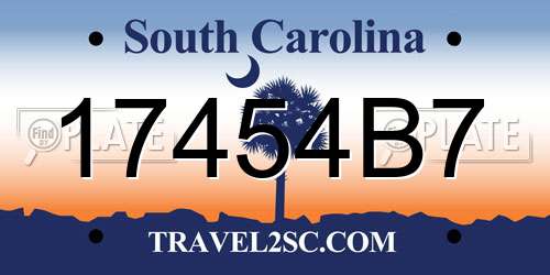 17454B7 South Carolina License Plate