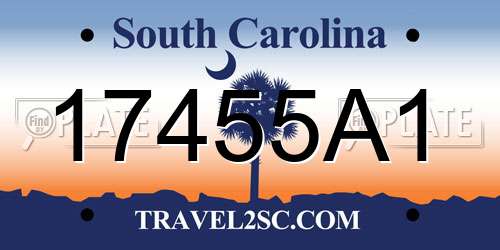 17455A1 South Carolina License Plate
