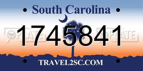 1745841 South Carolina License Plate