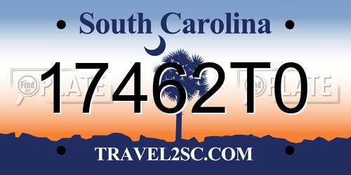 17462T0 South Carolina License Plate