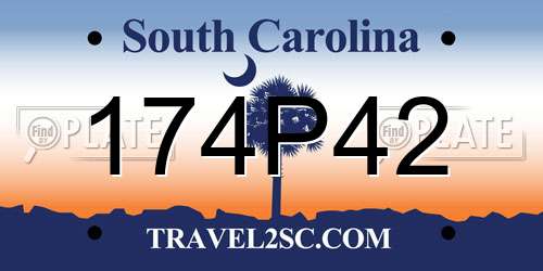 174P42 South Carolina License Plate
