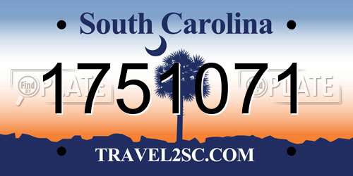 1751071 South Carolina License Plate