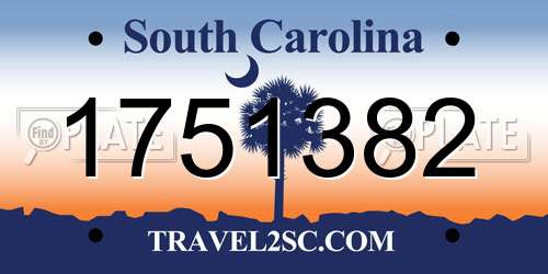 1751382 South Carolina License Plate
