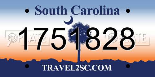 1751828 South Carolina License Plate