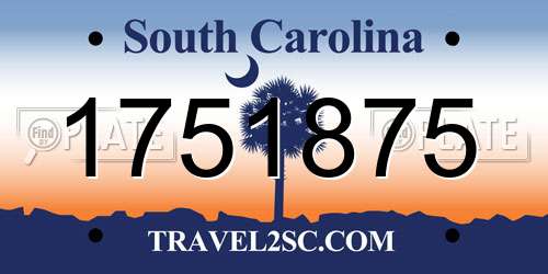 1751875 South Carolina License Plate