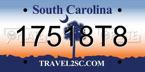 17518T8 South Carolina License Plate