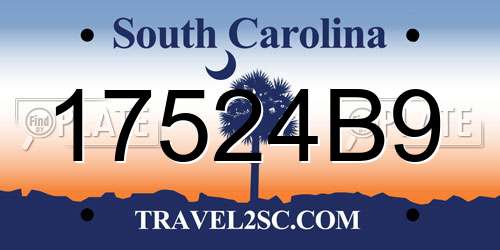 17524B9 South Carolina License Plate