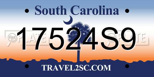17524S9 South Carolina License Plate