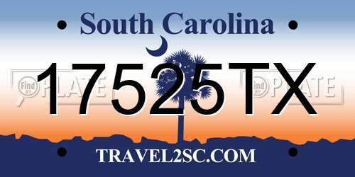 17525TX South Carolina License Plate
