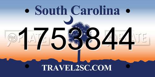 1753844 South Carolina License Plate