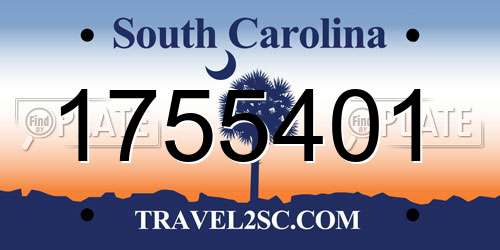 1755401 South Carolina License Plate