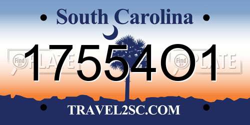 17554O1 South Carolina License Plate