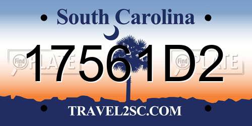 17561D2 South Carolina License Plate