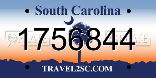 1756844 South Carolina License Plate