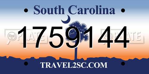 1759144 South Carolina License Plate