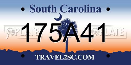 175A41 South Carolina License Plate