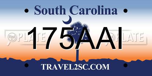 175AAI South Carolina License Plate