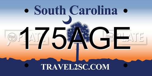 175AGE South Carolina License Plate