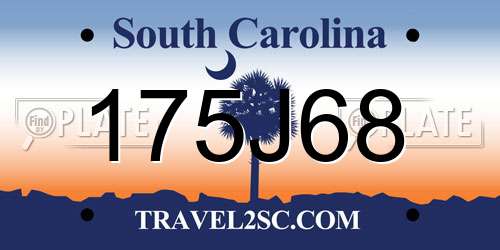 175J68 South Carolina License Plate
