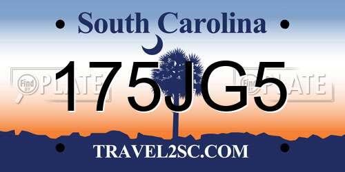 175JG5 South Carolina License Plate