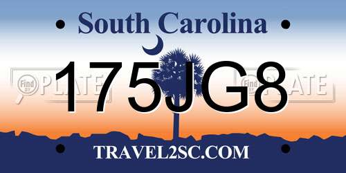 175JG8 South Carolina License Plate