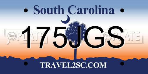 175JGS South Carolina License Plate