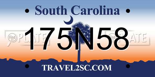 175N58 South Carolina License Plate