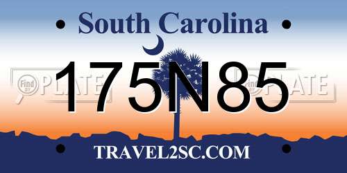 175N85 South Carolina License Plate