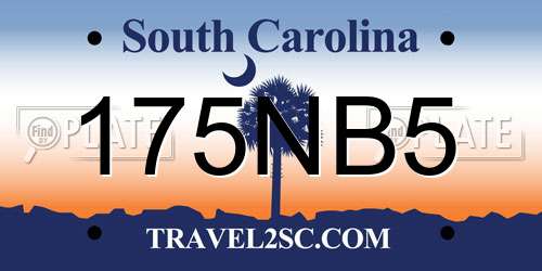 175NB5 South Carolina License Plate