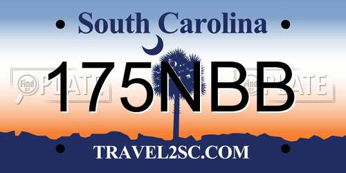 175NBB South Carolina License Plate
