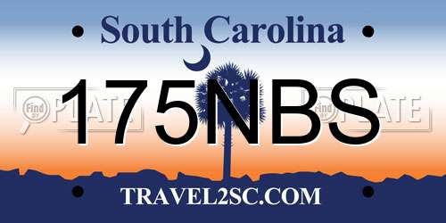175NBS South Carolina License Plate